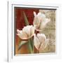 French Tulip Collage II-Abby White-Framed Art Print