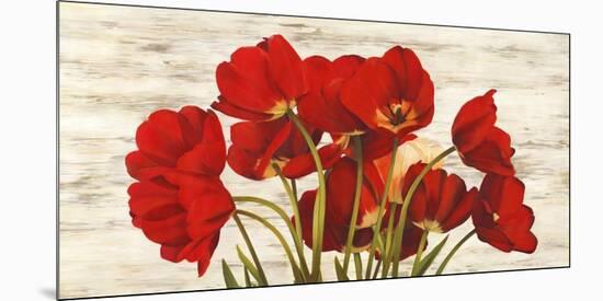 French Tulips-Serena Biffi-Mounted Art Print