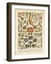 French Vegetable Chart-Gwendolyn Babbitt-Framed Art Print