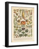 French Vegetable Chart-Gwendolyn Babbitt-Framed Art Print