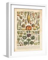 French Vegetable Chart-Gwendolyn Babbitt-Framed Art Print