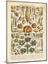 French Vegetable Chart-Gwendolyn Babbitt-Mounted Art Print