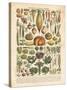 French Vegetable Chart-Gwendolyn Babbitt-Stretched Canvas