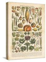 French Vegetable Chart-Gwendolyn Babbitt-Stretched Canvas