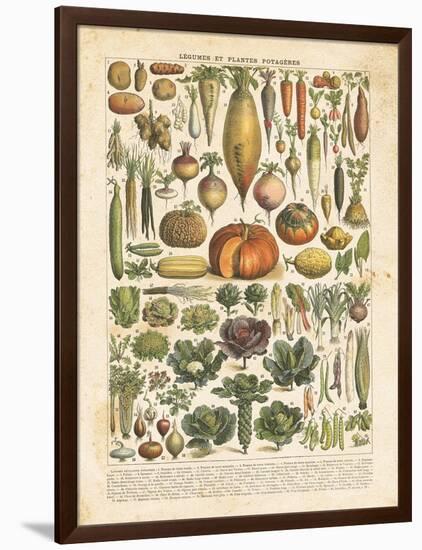 French Vegetable Chart-Gwendolyn Babbitt-Framed Art Print