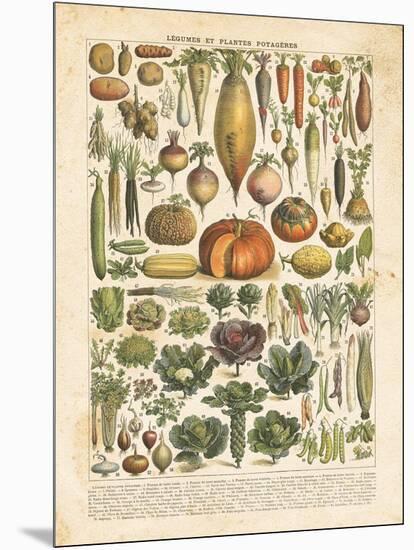 French Vegetable Chart-Gwendolyn Babbitt-Mounted Art Print
