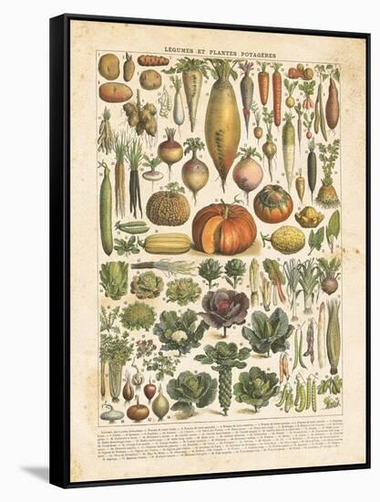 French Vegetable Chart-Gwendolyn Babbitt-Framed Stretched Canvas