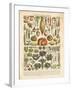 French Vegetable Chart-Gwendolyn Babbitt-Framed Art Print