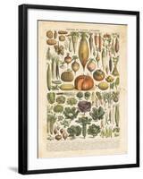 French Vegetable Chart-Gwendolyn Babbitt-Framed Art Print