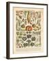 French Vegetable Chart-Gwendolyn Babbitt-Framed Art Print