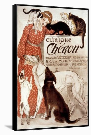 French Veterinary Clinic-Théophile Alexandre Steinlen-Framed Stretched Canvas