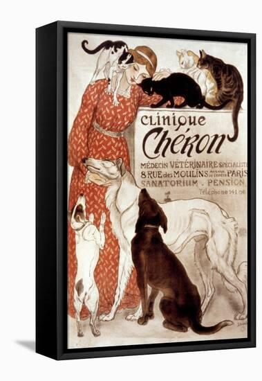 French Veterinary Clinic-Théophile Alexandre Steinlen-Framed Stretched Canvas