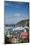 French West Indies, St-Barthelemy. Gustavia Harbor-Walter Bibikow-Mounted Photographic Print