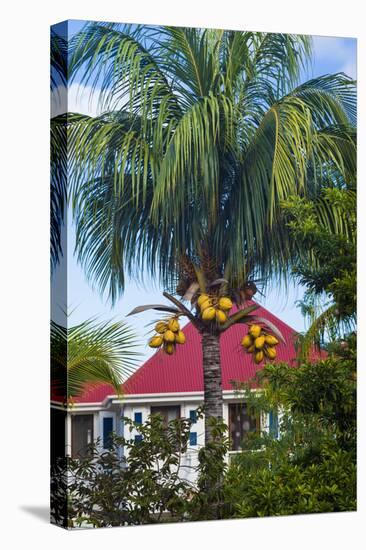 French West Indies, St-Barthelemy. Gustavia, harborside building with palm tree-Walter Bibikow-Stretched Canvas