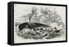 French Whalers-null-Framed Stretched Canvas