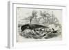 French Whalers-null-Framed Art Print