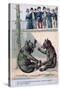 French Zoological Postcard, 19th Century-null-Stretched Canvas