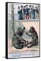 French Zoological Postcard, 19th Century-null-Framed Stretched Canvas