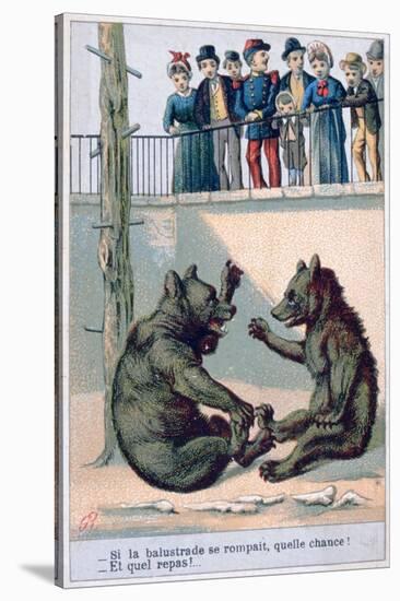 French Zoological Postcard, 19th Century-null-Stretched Canvas