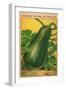 French Zucchini Seed Packet-null-Framed Art Print