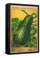 French Zucchini Seed Packet-null-Framed Stretched Canvas