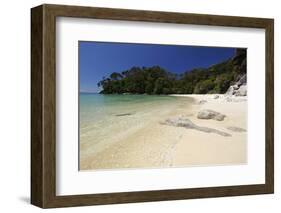 Frenchman's Bay Beach, Abel Tasman National Park, Nelson Region, South Island, New Zealand, Pacific-Stuart Black-Framed Photographic Print