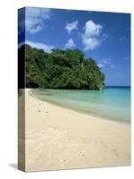 Frenchman's Cove, Port Antonio, Jamaica, West Indies, Central America-Sergio Pitamitz-Stretched Canvas