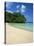 Frenchman's Cove, Port Antonio, Jamaica, West Indies, Central America-Sergio Pitamitz-Stretched Canvas