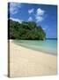 Frenchman's Cove, Port Antonio, Jamaica, West Indies, Central America-Sergio Pitamitz-Stretched Canvas