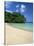 Frenchman's Cove, Port Antonio, Jamaica, West Indies, Central America-Sergio Pitamitz-Stretched Canvas