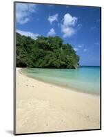 Frenchman's Cove, Port Antonio, Jamaica, West Indies, Central America-Sergio Pitamitz-Mounted Photographic Print