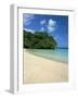 Frenchman's Cove, Port Antonio, Jamaica, West Indies, Central America-Sergio Pitamitz-Framed Photographic Print