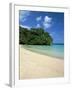 Frenchman's Cove, Port Antonio, Jamaica, West Indies, Central America-Sergio Pitamitz-Framed Photographic Print