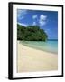 Frenchman's Cove, Port Antonio, Jamaica, West Indies, Central America-Sergio Pitamitz-Framed Photographic Print