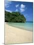 Frenchman's Cove, Port Antonio, Jamaica, West Indies, Central America-Sergio Pitamitz-Mounted Photographic Print