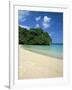 Frenchman's Cove, Port Antonio, Jamaica, West Indies, Central America-Sergio Pitamitz-Framed Photographic Print