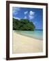 Frenchman's Cove, Port Antonio, Jamaica, West Indies, Central America-Sergio Pitamitz-Framed Photographic Print