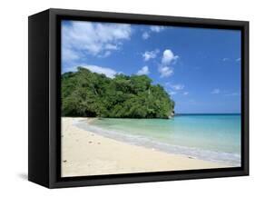 Frenchman's Cove, Port Antonio, Jamaica, West Indies, Central America-Sergio Pitamitz-Framed Stretched Canvas