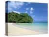 Frenchman's Cove, Port Antonio, Jamaica, West Indies, Central America-Sergio Pitamitz-Stretched Canvas