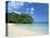 Frenchman's Cove, Port Antonio, Jamaica, West Indies, Central America-Sergio Pitamitz-Stretched Canvas