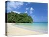 Frenchman's Cove, Port Antonio, Jamaica, West Indies, Central America-Sergio Pitamitz-Stretched Canvas