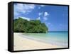 Frenchman's Cove, Port Antonio, Jamaica, West Indies, Central America-Sergio Pitamitz-Framed Stretched Canvas