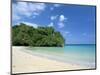 Frenchman's Cove, Port Antonio, Jamaica, West Indies, Central America-Sergio Pitamitz-Mounted Photographic Print