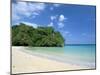 Frenchman's Cove, Port Antonio, Jamaica, West Indies, Central America-Sergio Pitamitz-Mounted Photographic Print