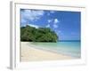 Frenchman's Cove, Port Antonio, Jamaica, West Indies, Central America-Sergio Pitamitz-Framed Photographic Print