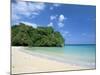 Frenchman's Cove, Port Antonio, Jamaica, West Indies, Central America-Sergio Pitamitz-Mounted Photographic Print