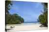 Frenchman's Cove, Portland Parish, Jamaica, West Indies, Caribbean, Central America-Doug Pearson-Stretched Canvas