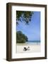 Frenchman's Cove, Portland Parish, Jamaica, West Indies, Caribbean, Central America-Doug Pearson-Framed Photographic Print