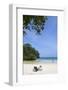 Frenchman's Cove, Portland Parish, Jamaica, West Indies, Caribbean, Central America-Doug Pearson-Framed Photographic Print