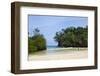 Frenchman's Cove, Portland Parish, Jamaica, West Indies, Caribbean, Central America-Doug Pearson-Framed Photographic Print